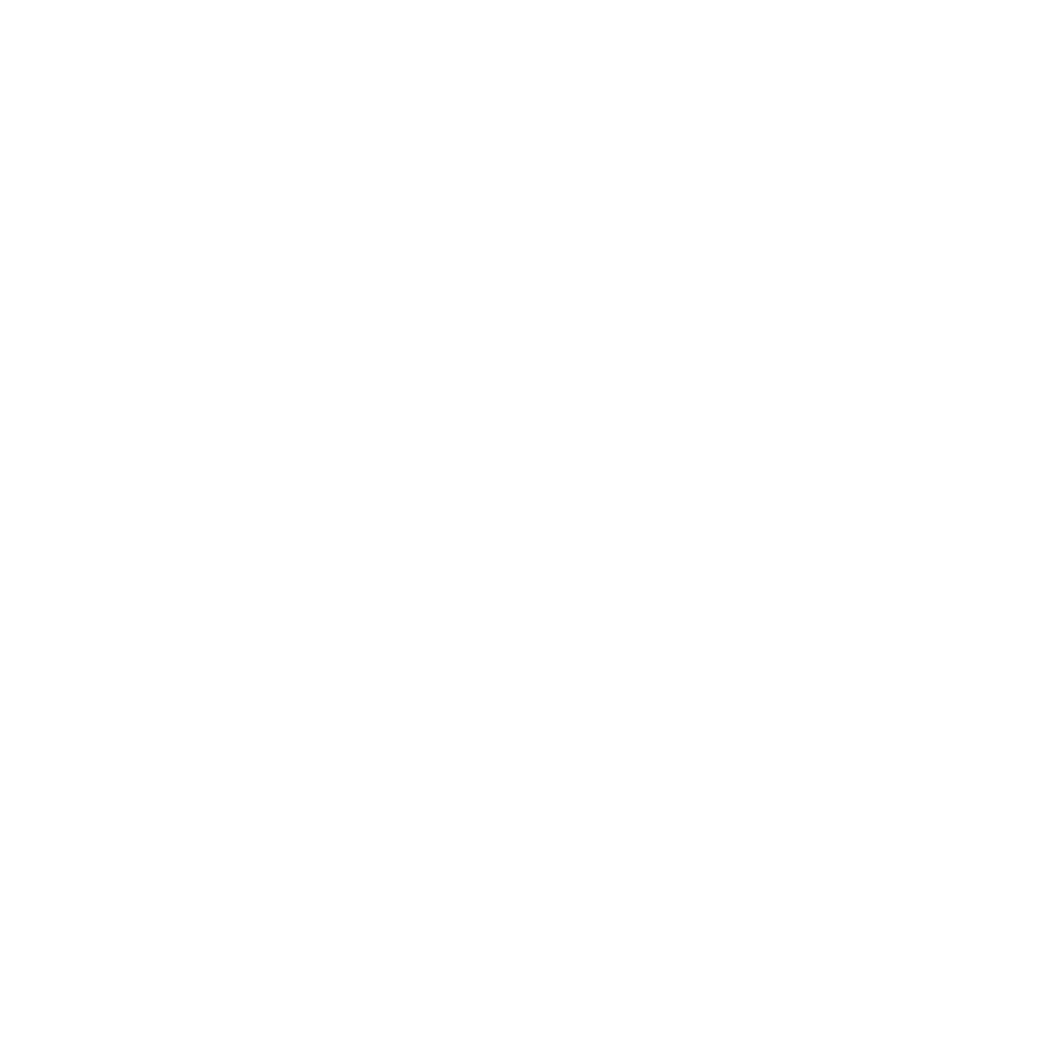 cybersecurity icon